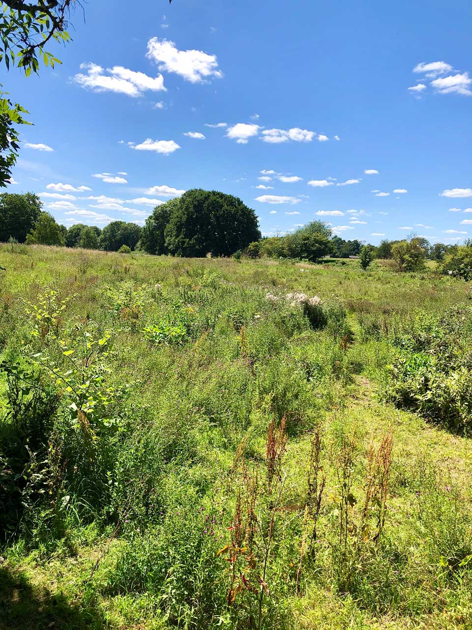 Buying land in Berkshire, Hampshire and Surrey Premier Acquisitions